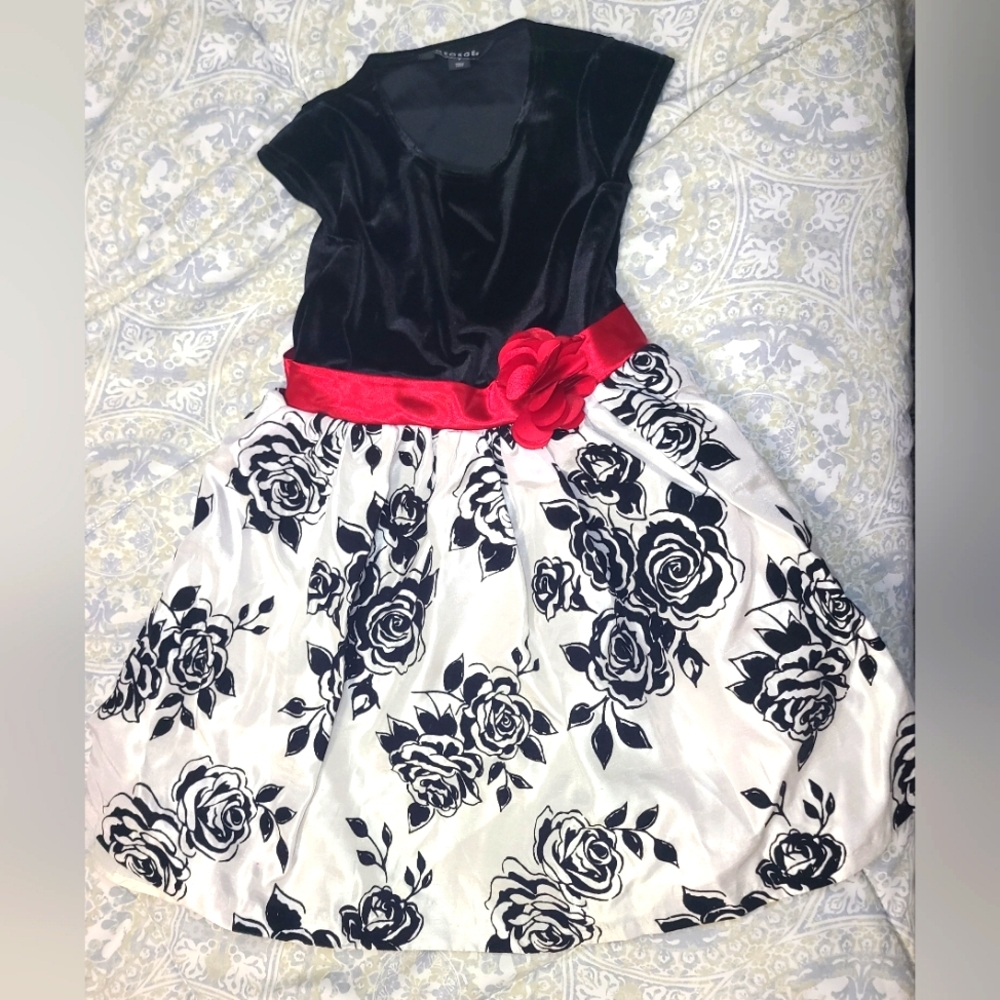 George Dress (Girls Size 7)